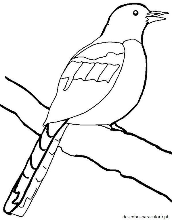 Desenhos de pássaros 153